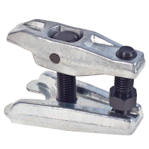 Alloid .������� ������� ���� (����.���� 20 ��)(C� - 3015)