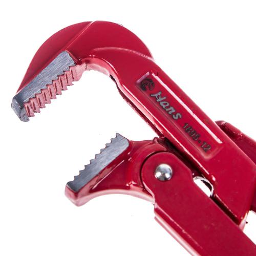 HANS. ���� ������� "�������", 1" (310 mm.). (1895-12)