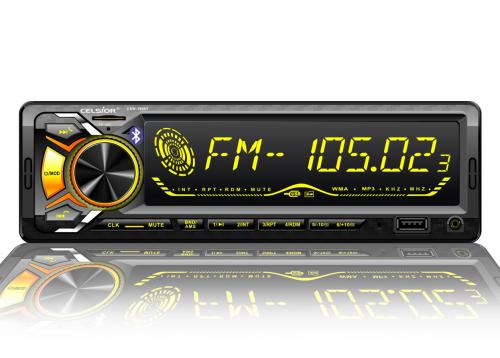 ��������i���� Celsior ���. CSW-1909Y