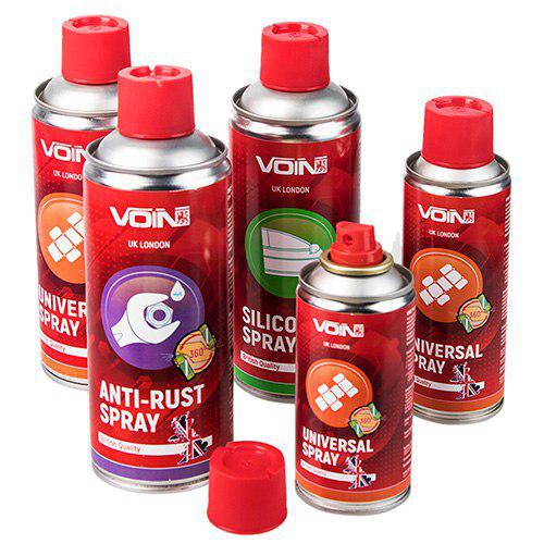 ���� ������ VOIN