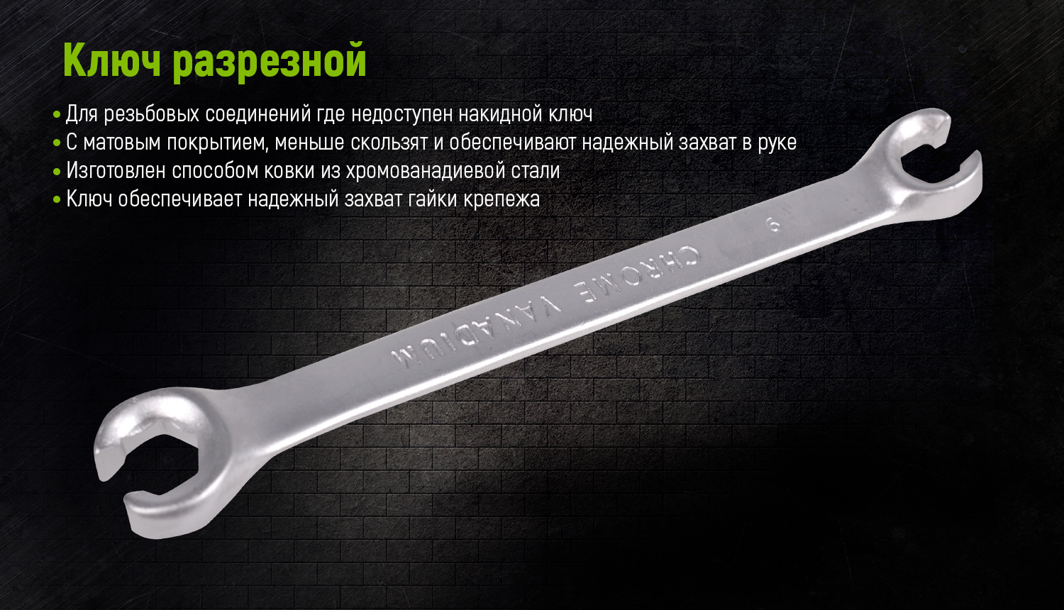 Alloid. ����� ������ ���������, 5 �����, 08�10 - 15�17 ��.(��-203-5)