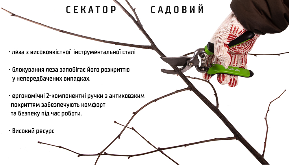 ������� 205 �� (PS-21205) Alloid