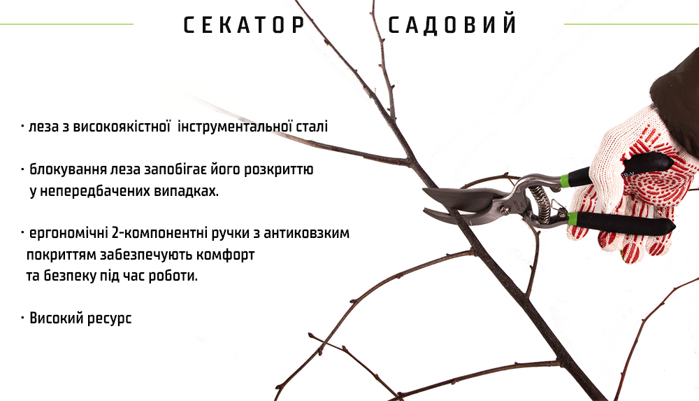 ������� 250 �� (PS-22250) Alloid