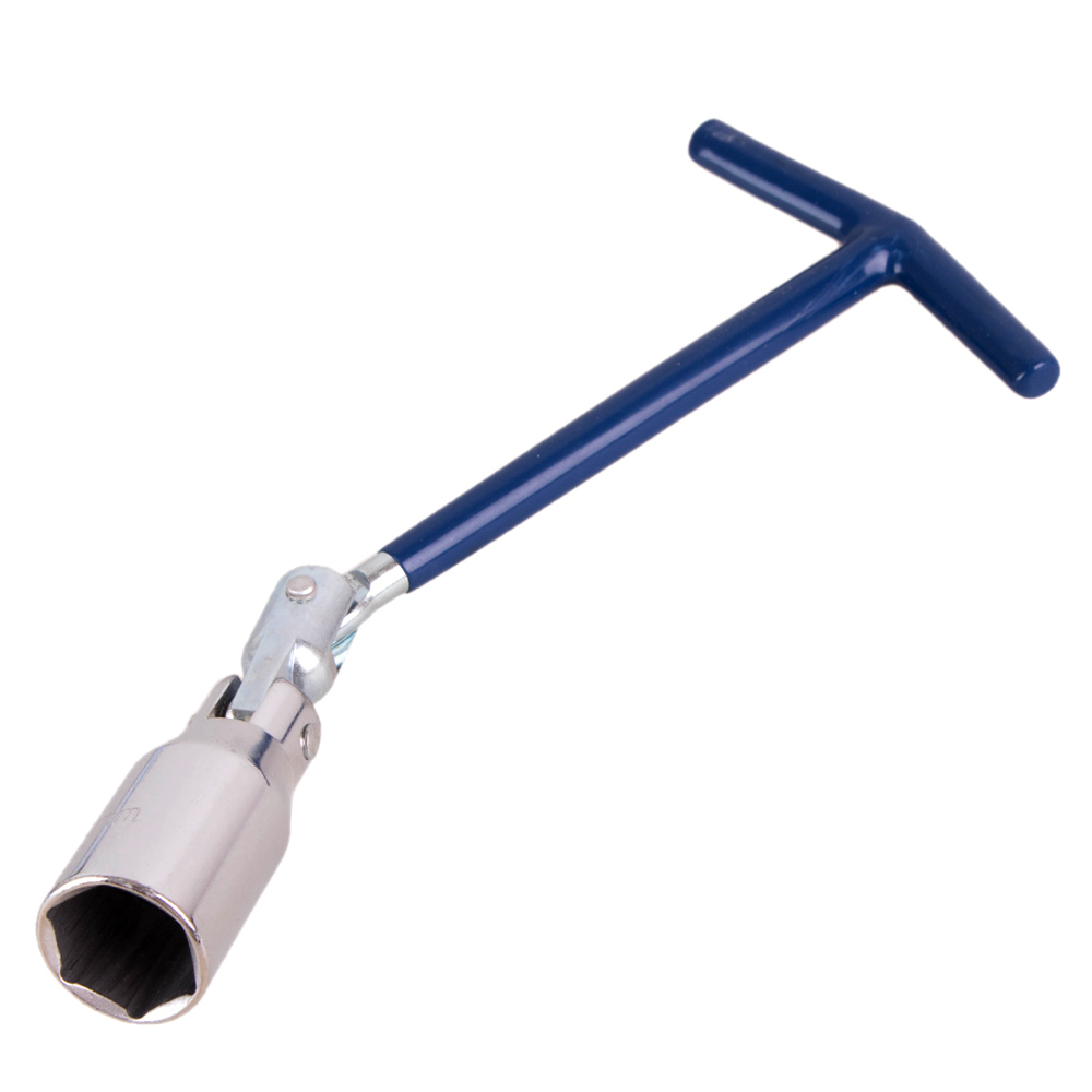 ���� �������� (21 ��)