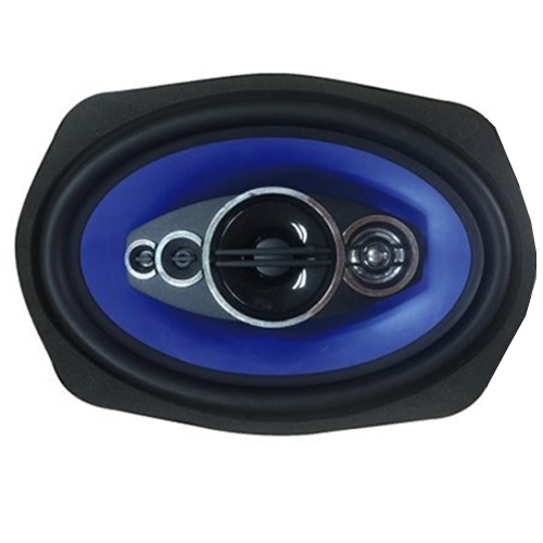 Celsior CS-6905P ������������ �������. ���� "Blue" 6��9� (15.24x22.86 ��)