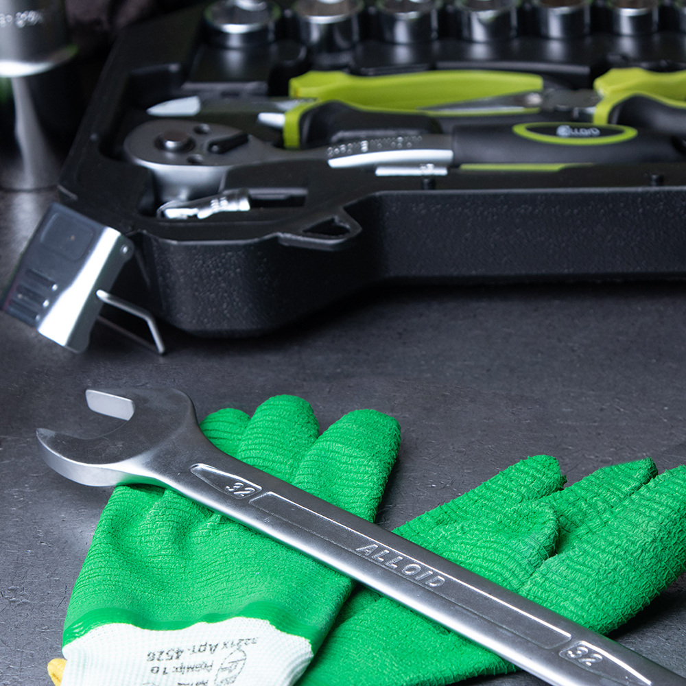 ���� ����������� 14 �� Alloid