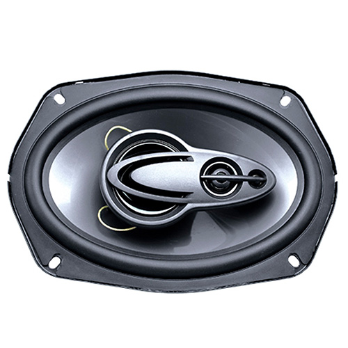 Celsior CS-6940 ������������ �������. ���� "Silver" 6��9� (15.24x22.86 ��)