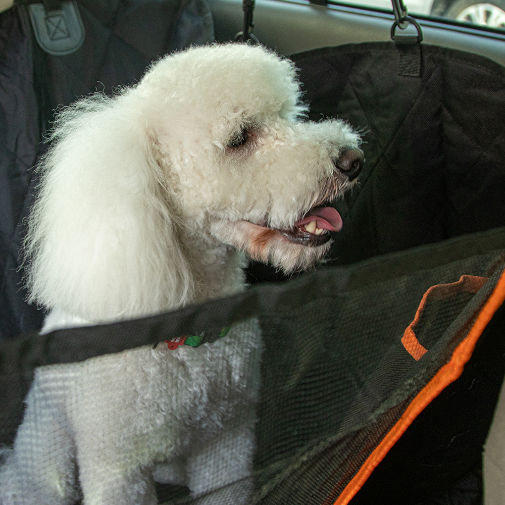 ����� �� ����������� ������ ��� ����� ���.GD-13