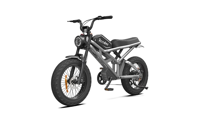 ���������������� Rooder 1000W, 48V25Ah, Silver