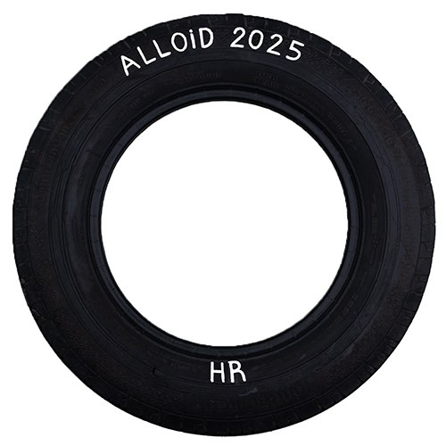 ������ ���������� ����