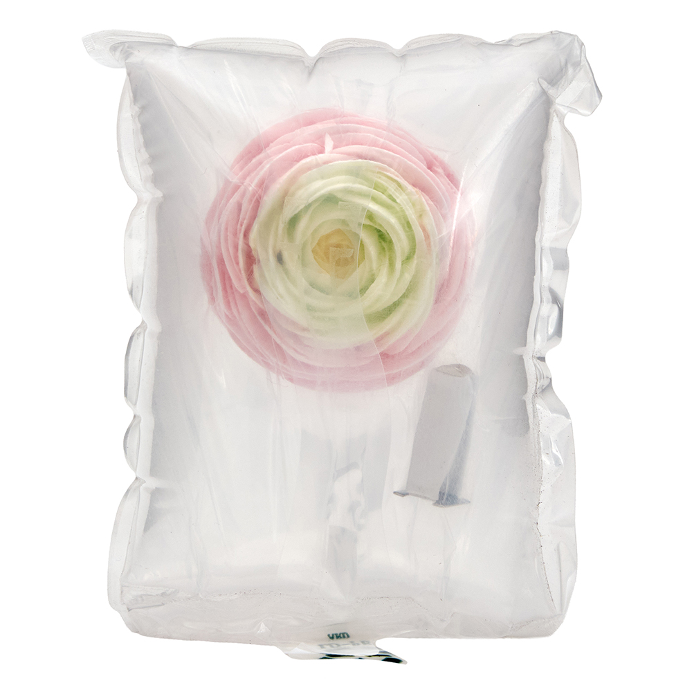 �������� ��� ��������� (ϳ�����)