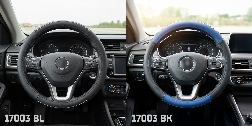 ����� ����  17003 BL  M ���