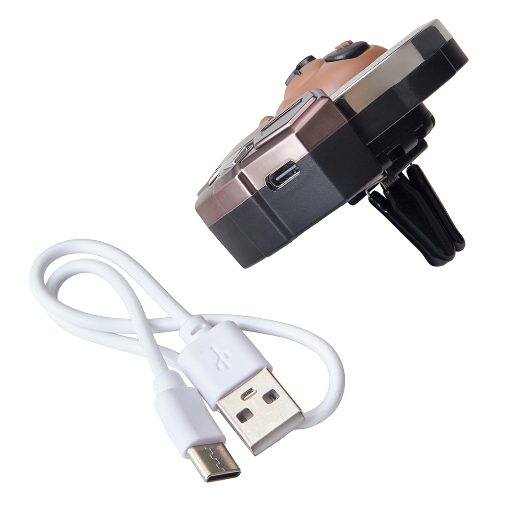 ������������ Bear RGB LED � �������� �����