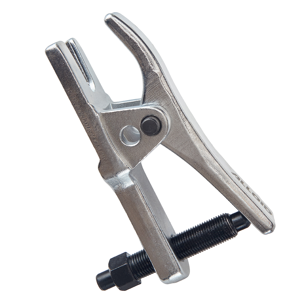 Alloid Base. ������ �������� ��� �� �������� ���� 22 �� �������������