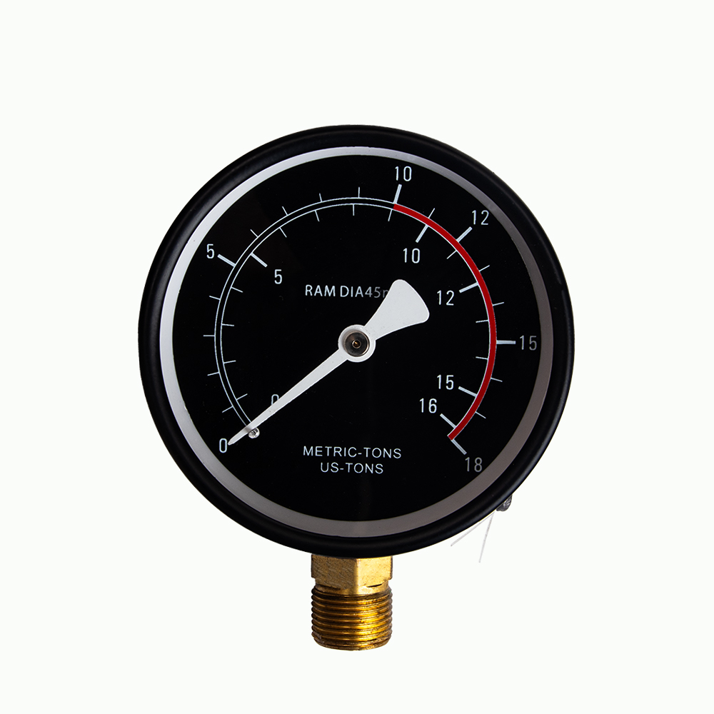 Alloid. ���� ���������������� 40 ����