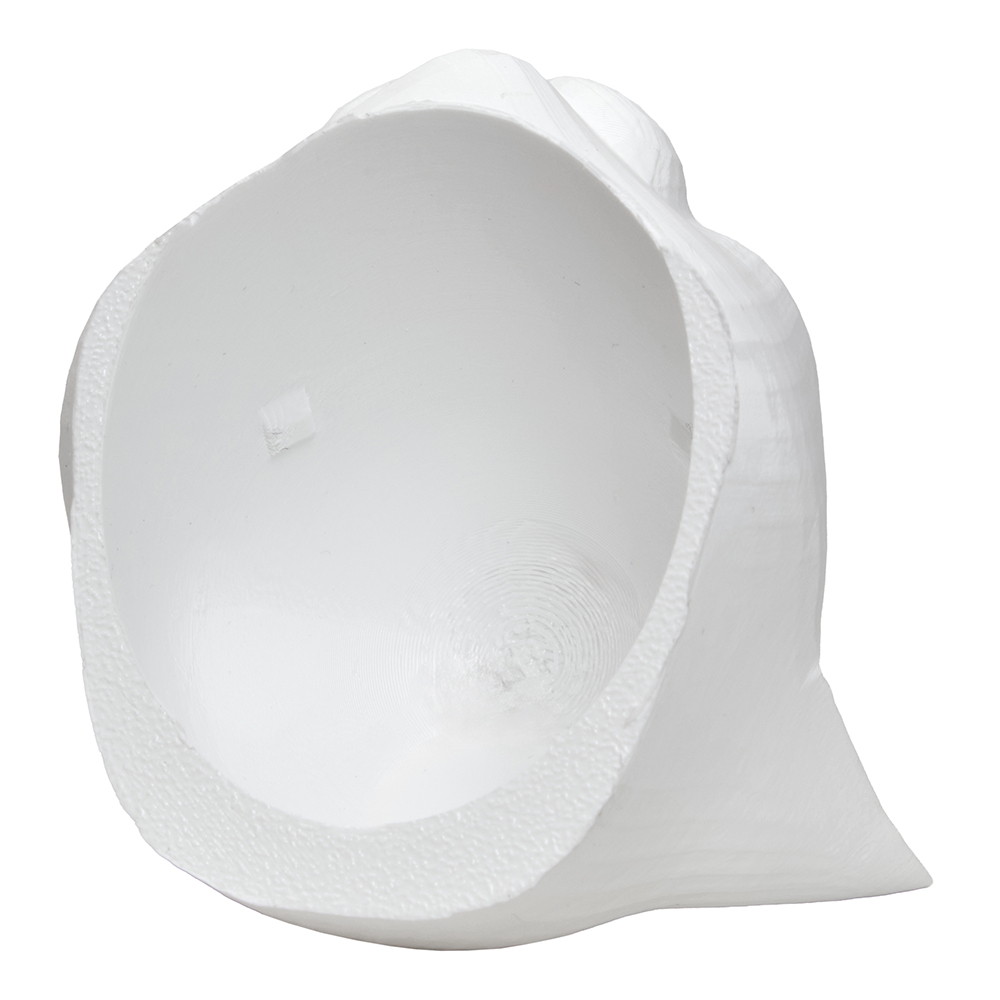 �������� �������� ������� ������� ����