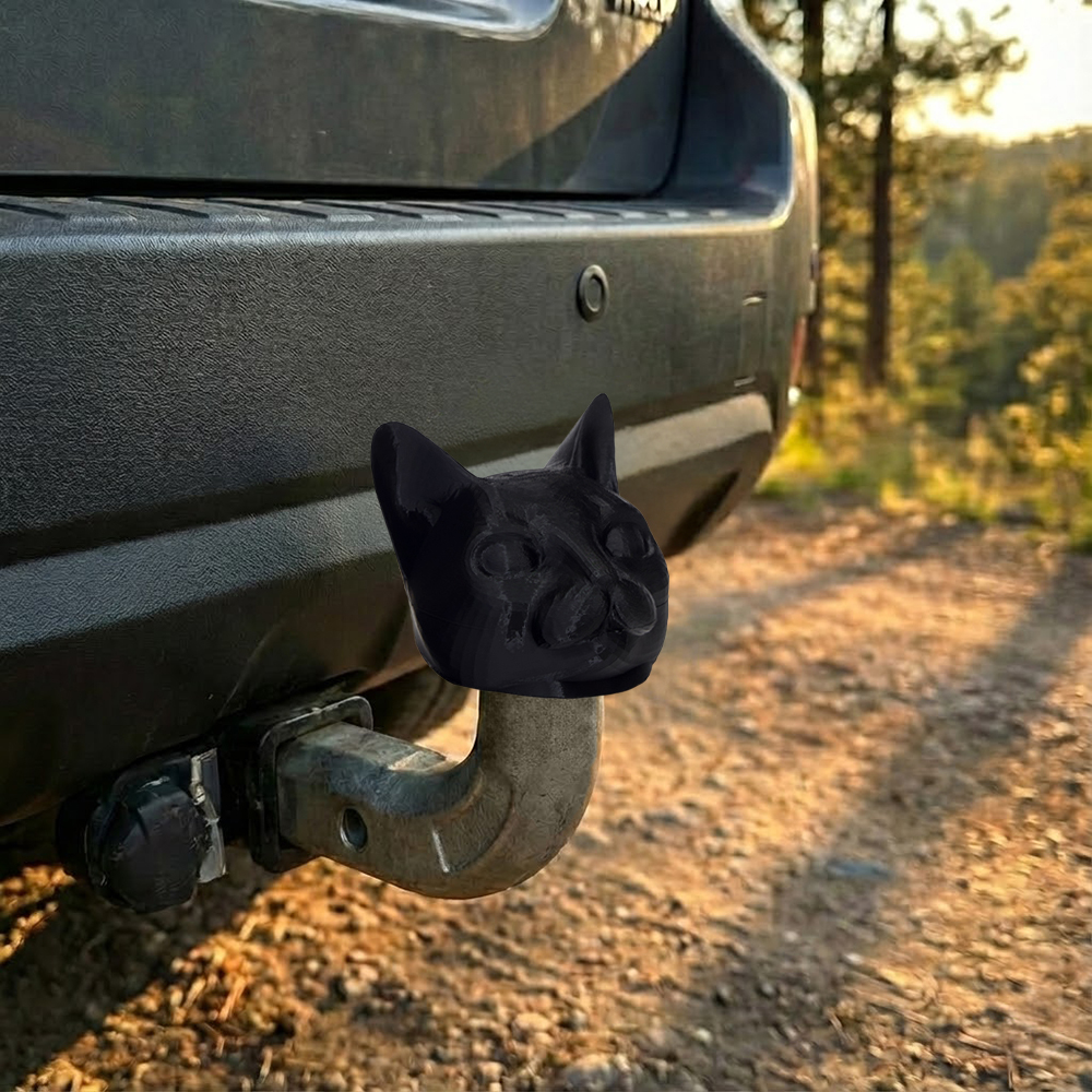 �������� �������� ������� ������� ����