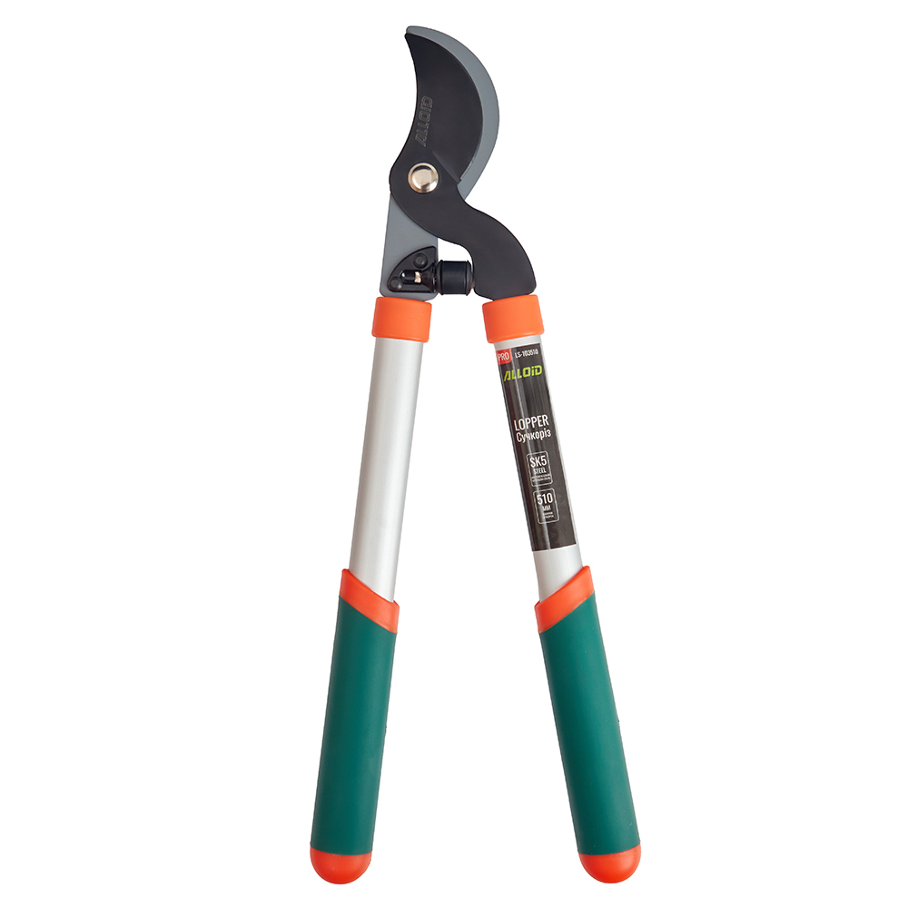 Alloid Pro. ������� 510��