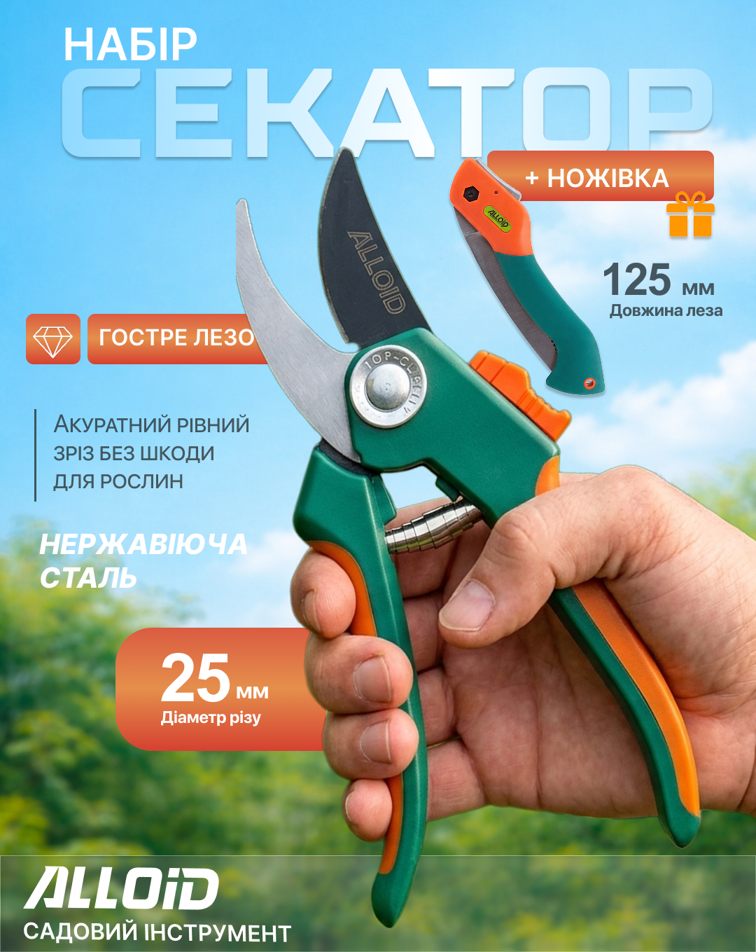 ���� ������� + ������ Alloid