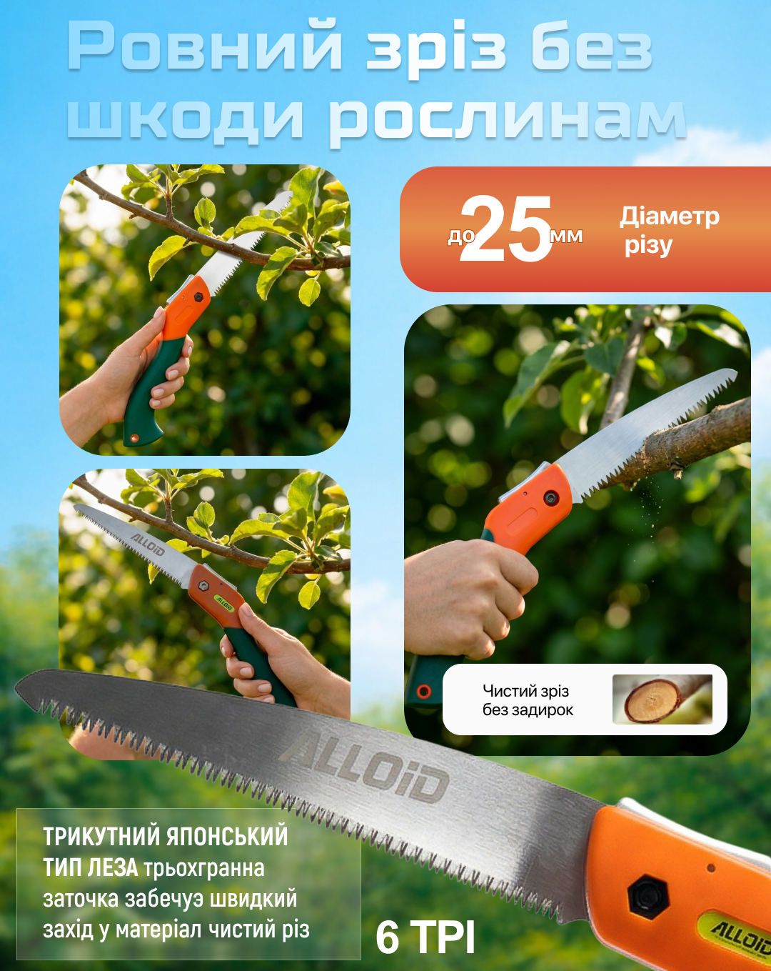 ���� ������� + ������ Alloid