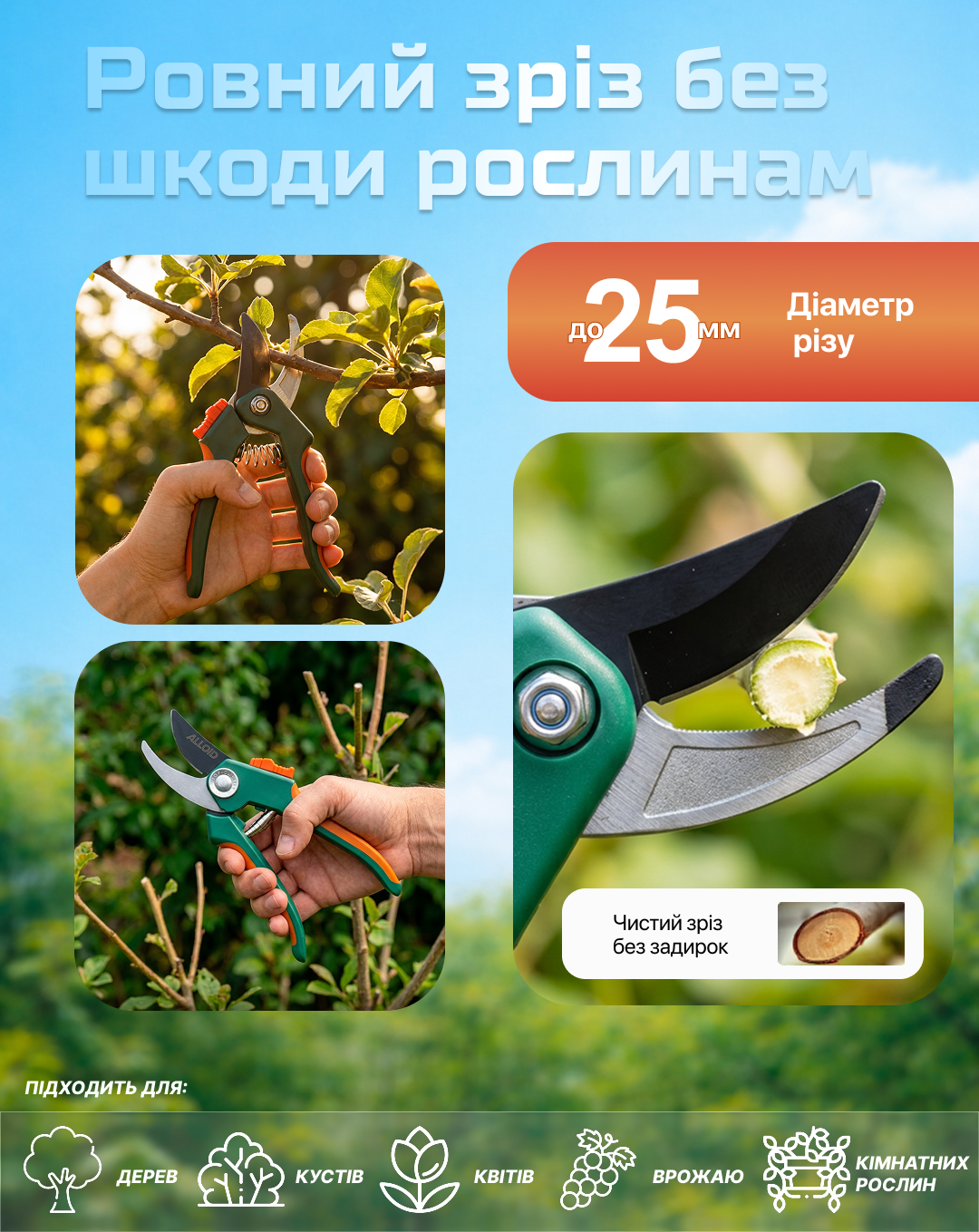 ���� ������� + ������ Alloid