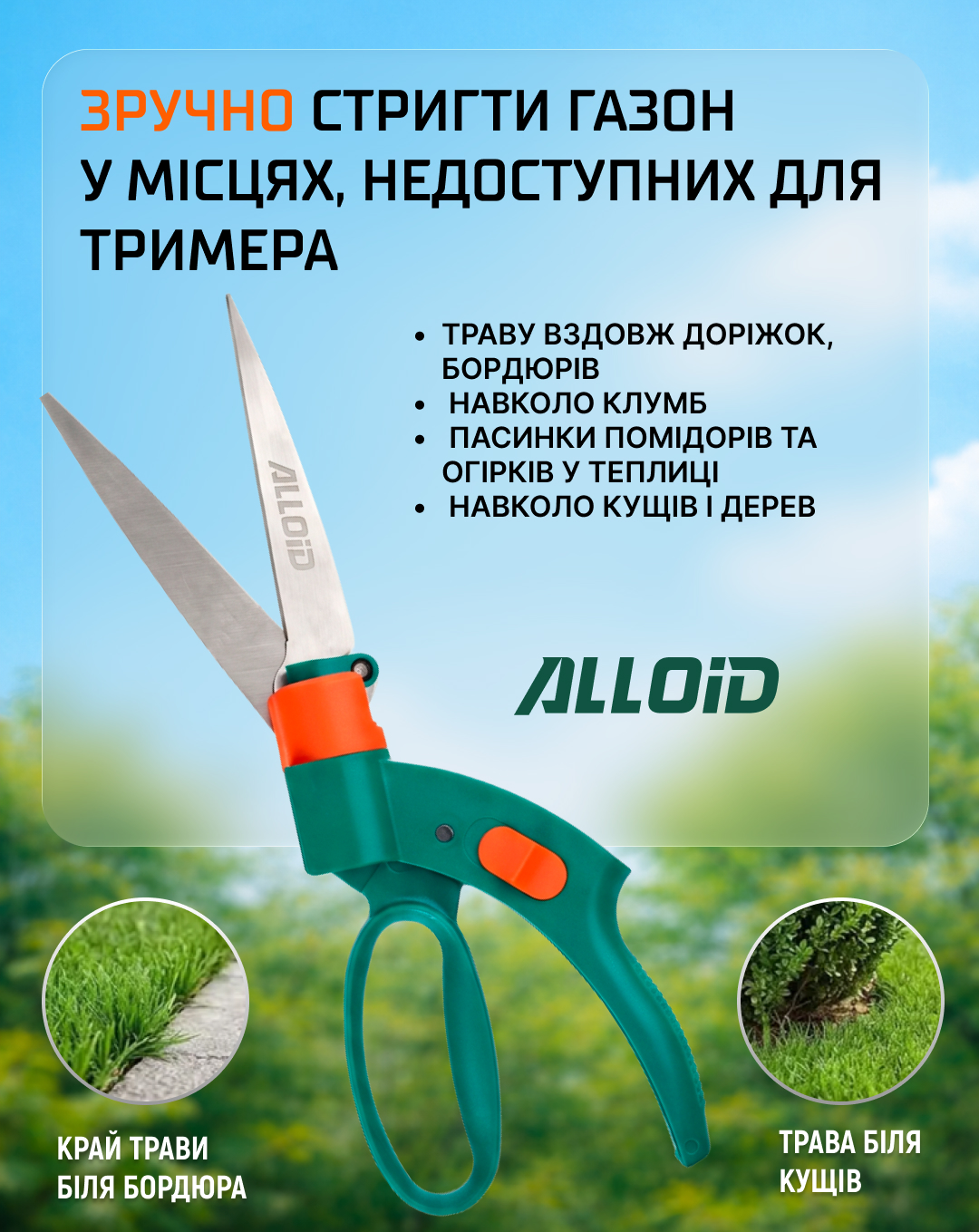 ������ ����� ��� �����, ��������� 330�� Alloid