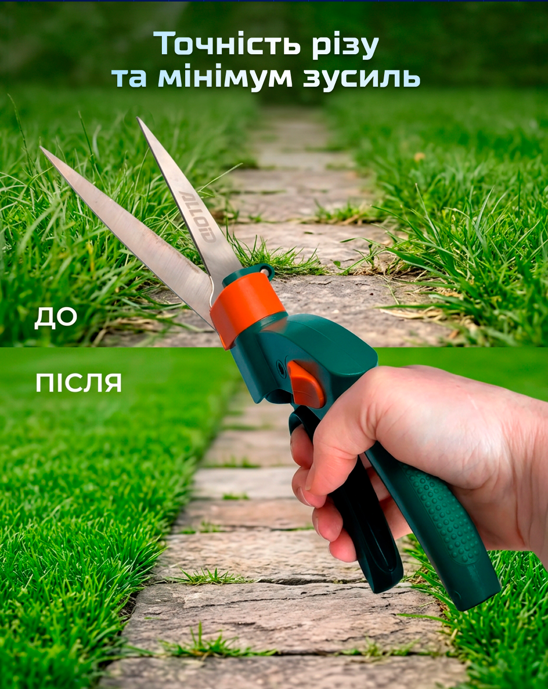 ������ ����� ��� �����, ��������� 330�� Alloid