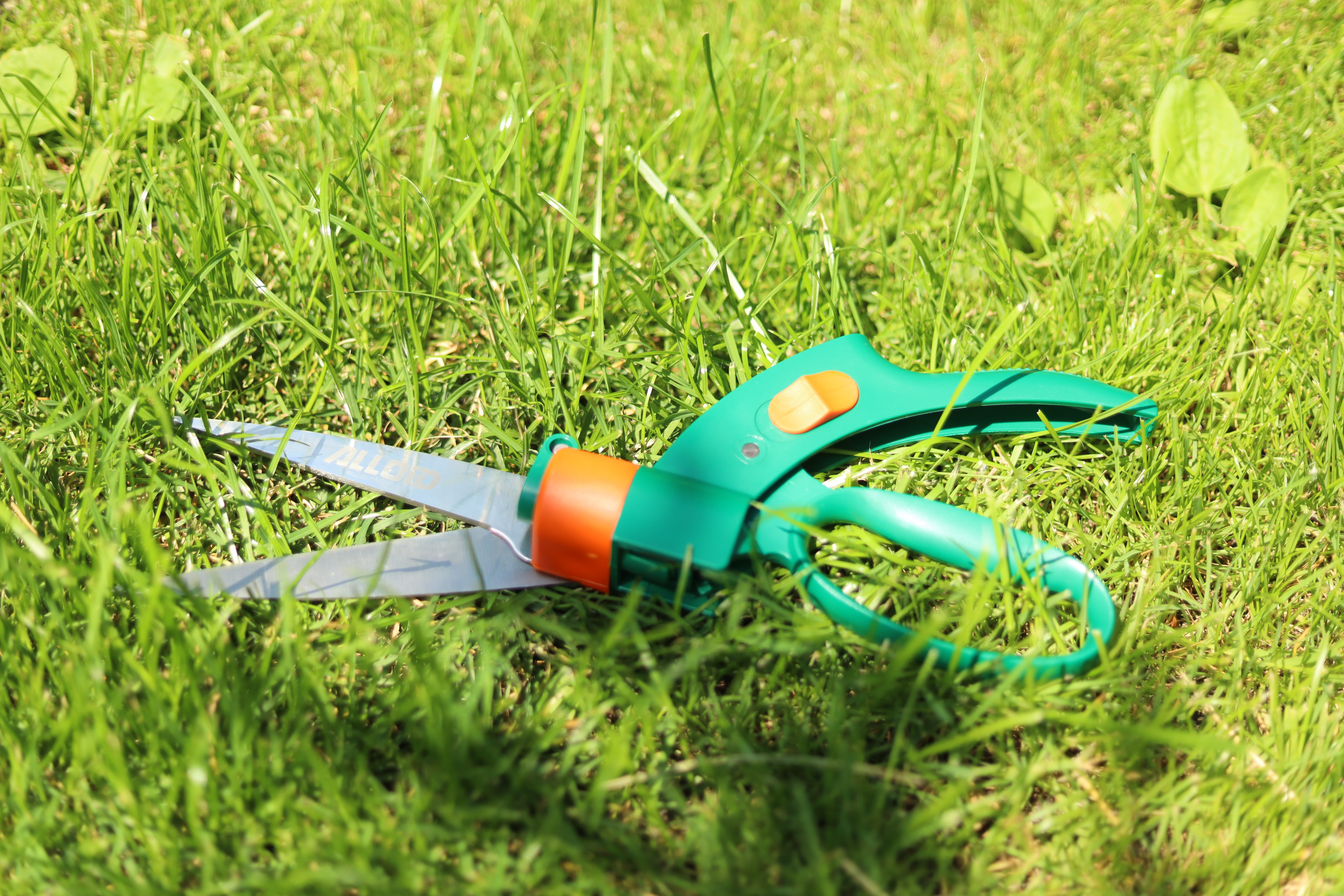 ������ ����� ��� �����, ��������� 330�� Alloid