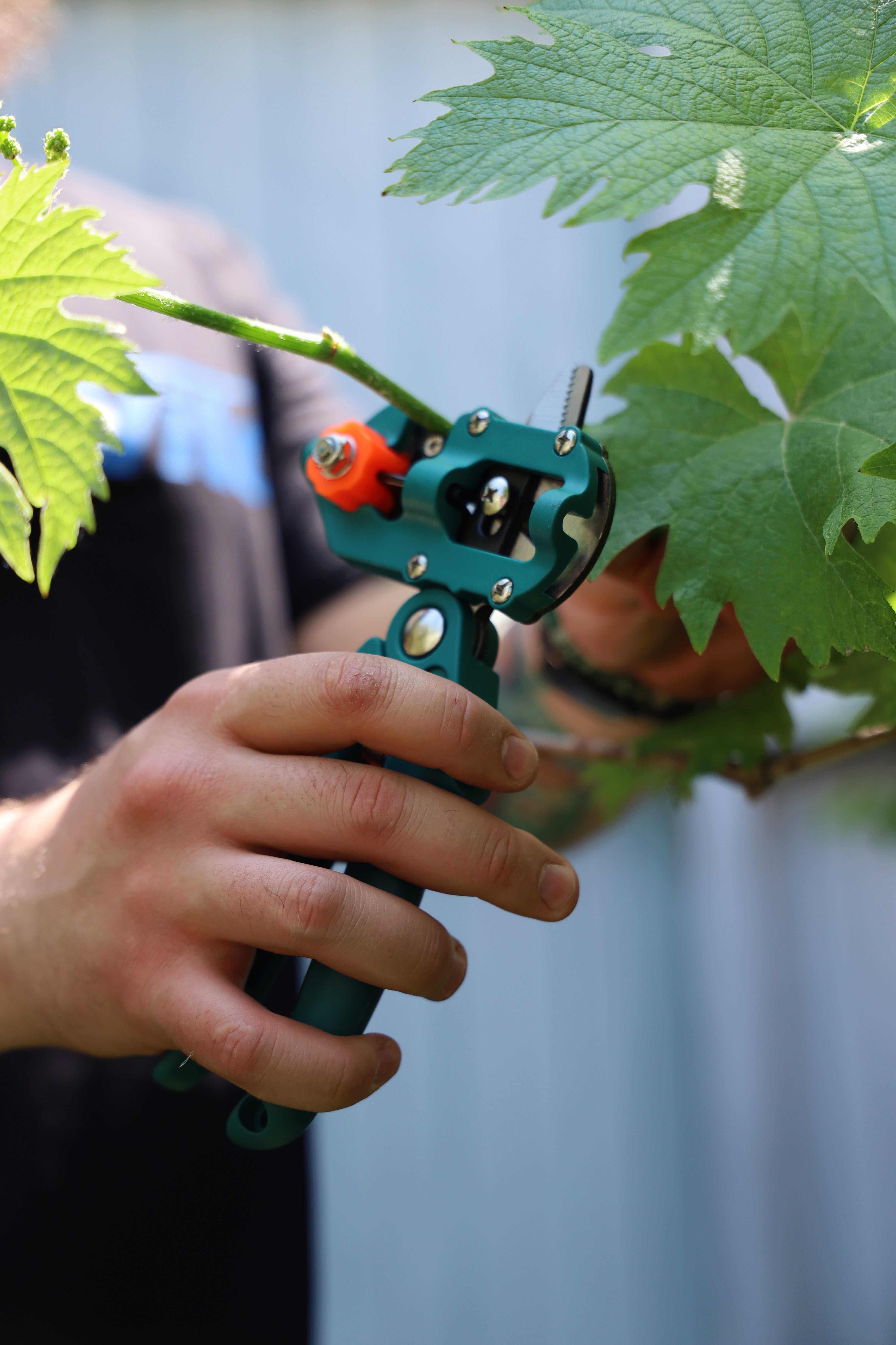 ������� ��� �������� ���� 220�� (GS-220009) Alloid