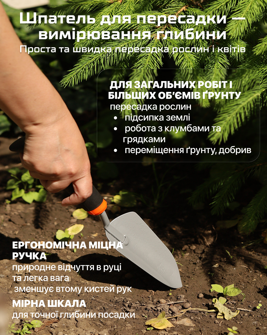 ���� ������� �����������, 3 �������� (�����) Alloid