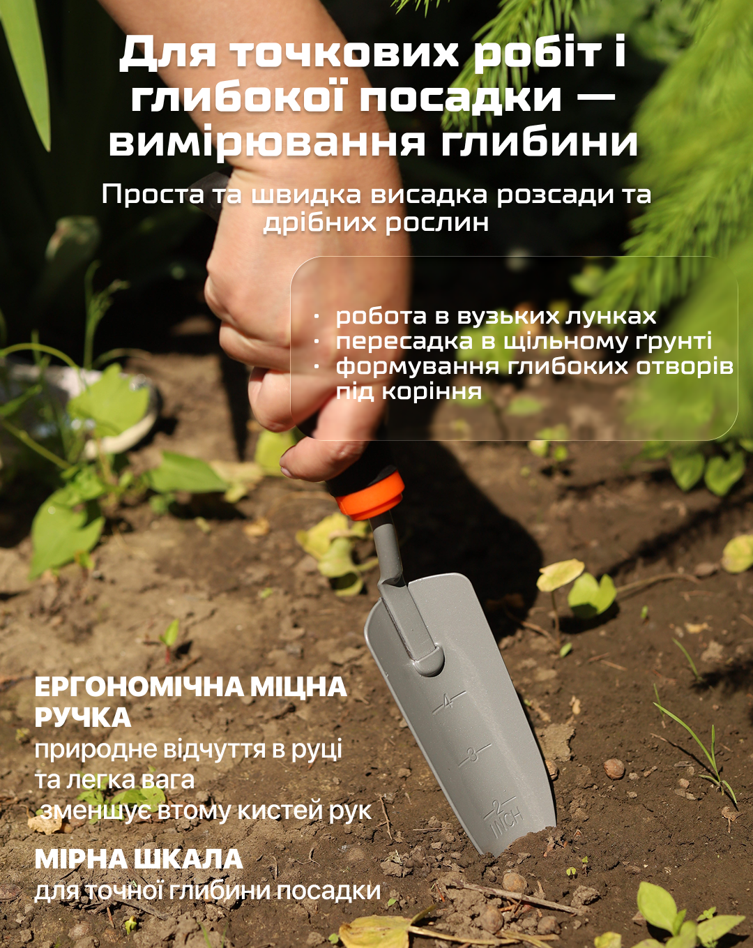 ���� ������� �����������, 3 �������� (�����) Alloid