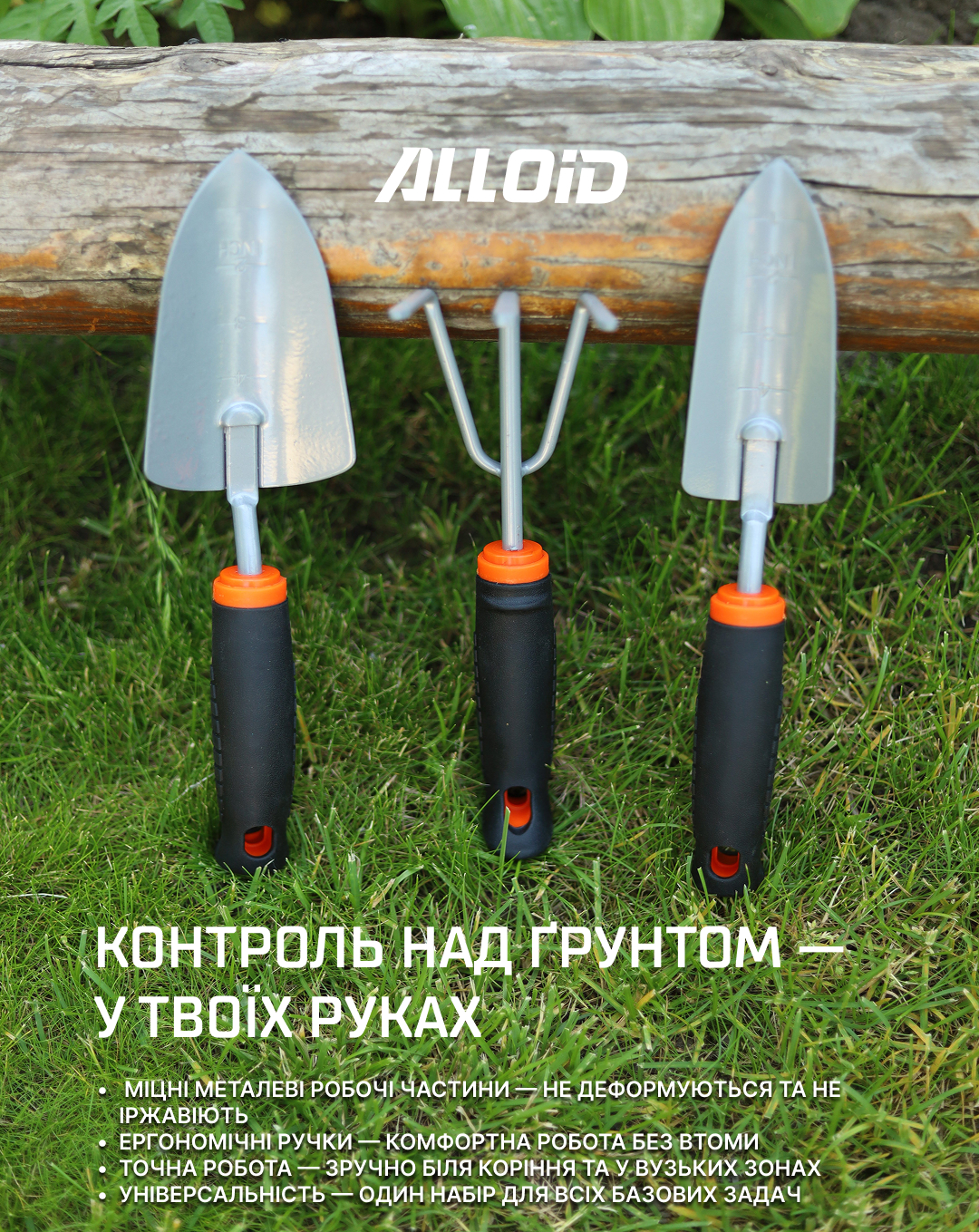 ���� ������� �����������, 3 �������� (�����) Alloid