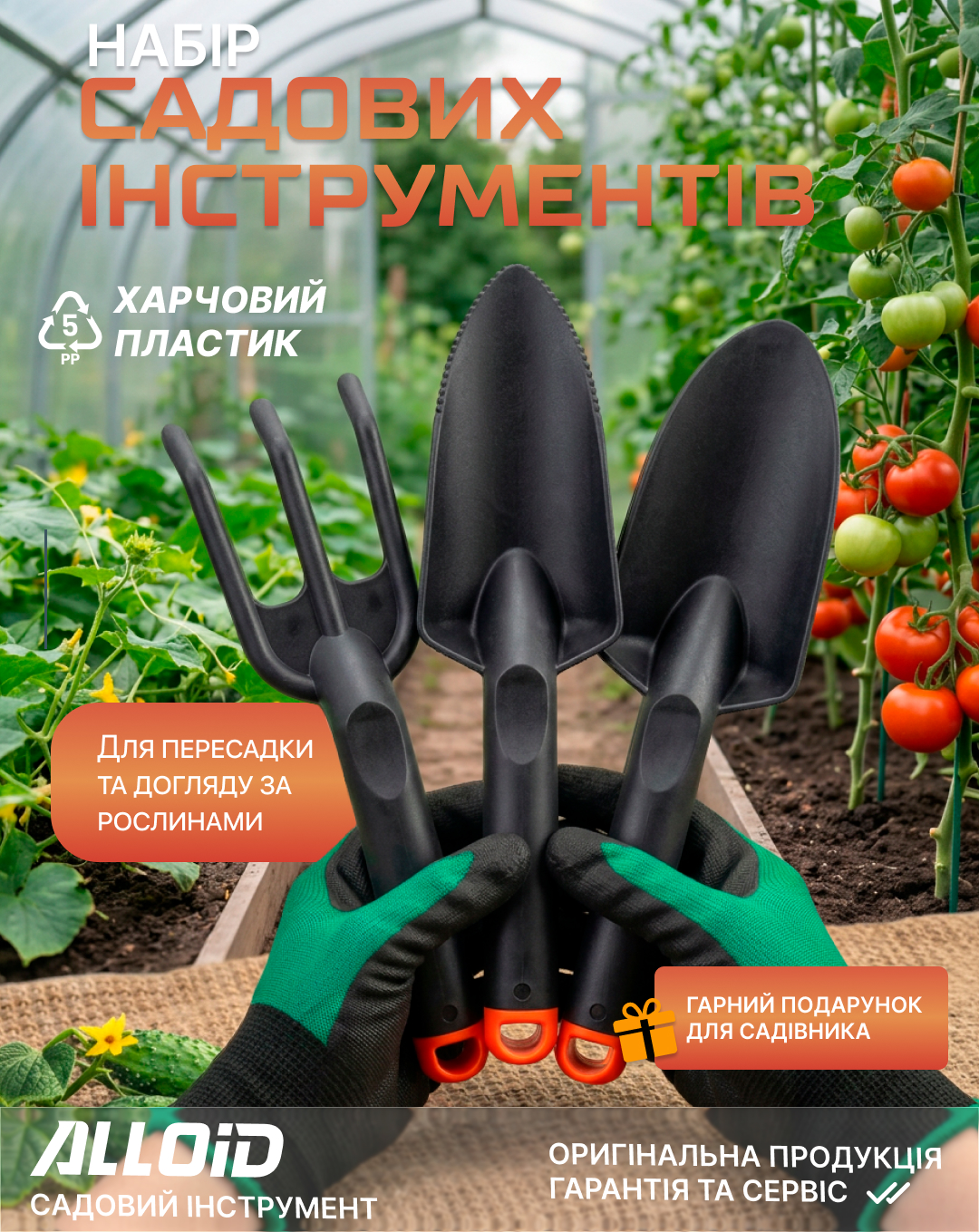 ���� ������� �����������, 3 �������� (�������) Alloid