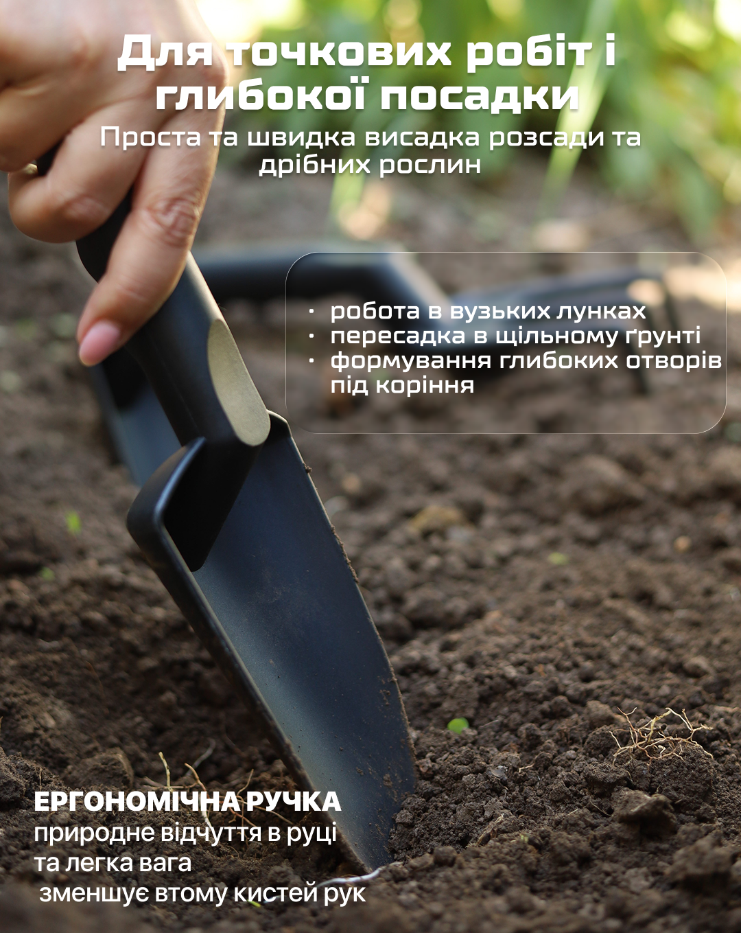 ���� ������� �����������, 3 �������� (�������) Alloid