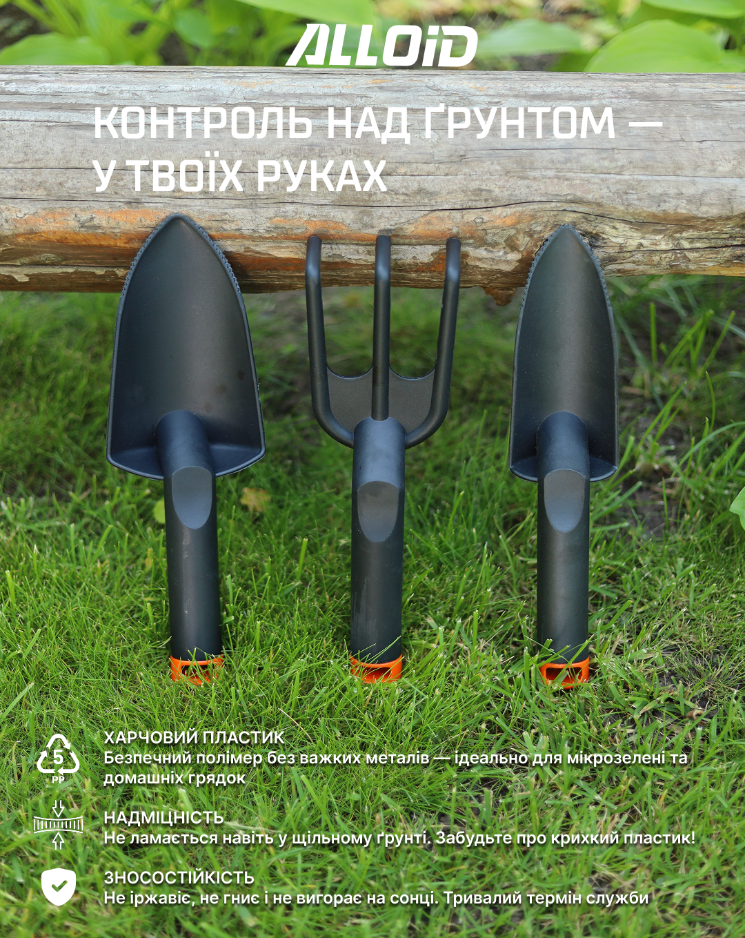 ���� ������� �����������, 3 �������� (�������) Alloid