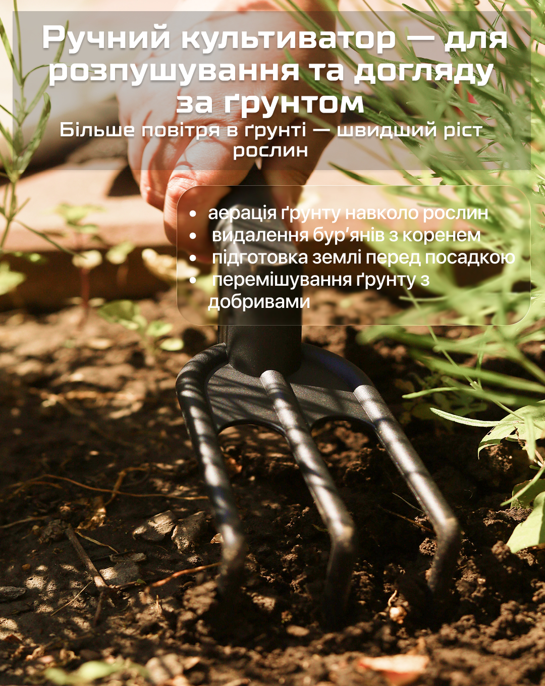 ���� ������� �����������, 3 �������� (�������) Alloid