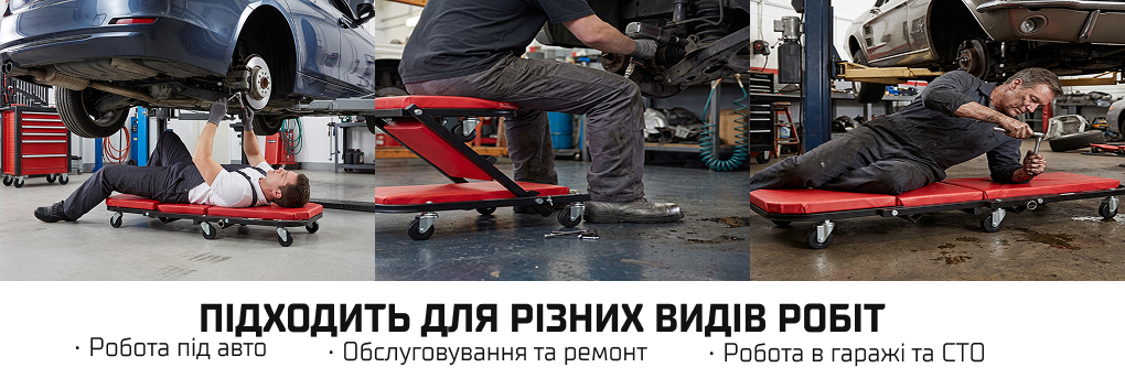 Alloid. ϳ������ ���� ��� ��� 2�1 (������)