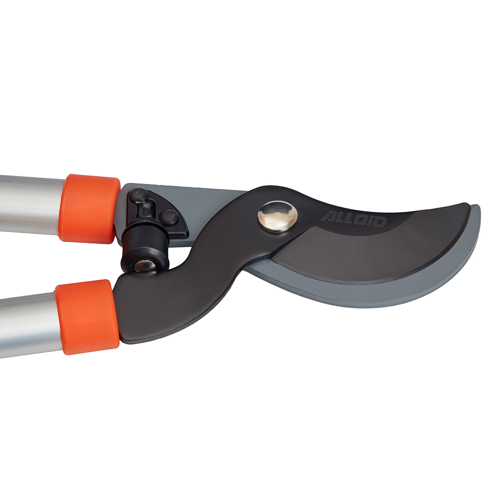 Alloid Pro. ������� 780��