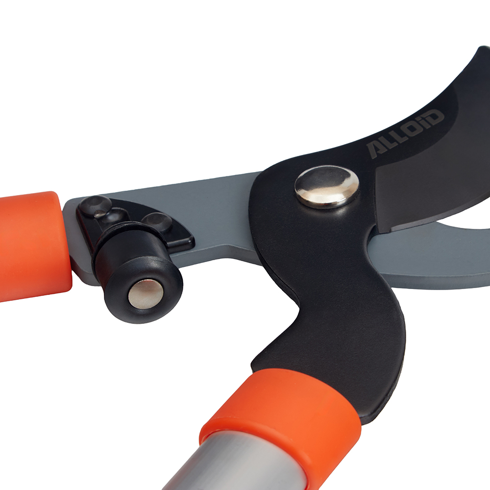 Alloid Pro. ������� 780��