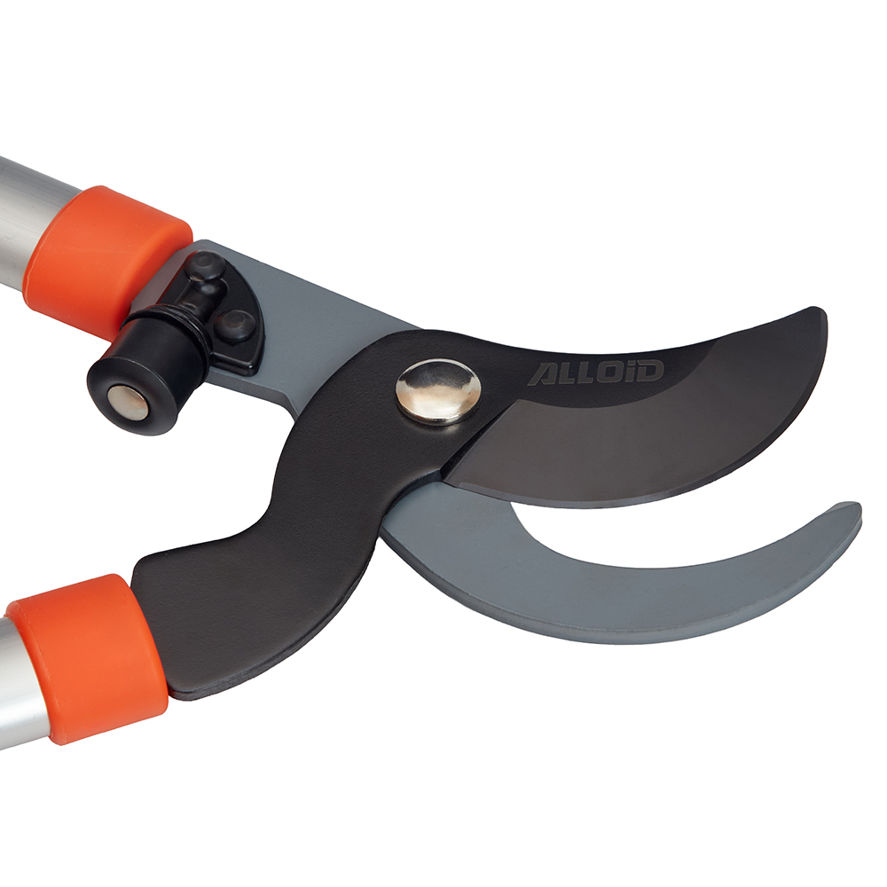 Alloid Pro. ������� 780��