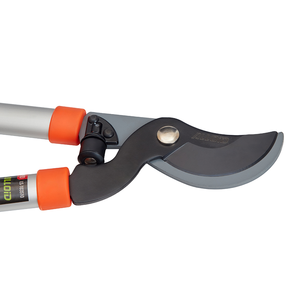 Alloid Pro. ������� 510��