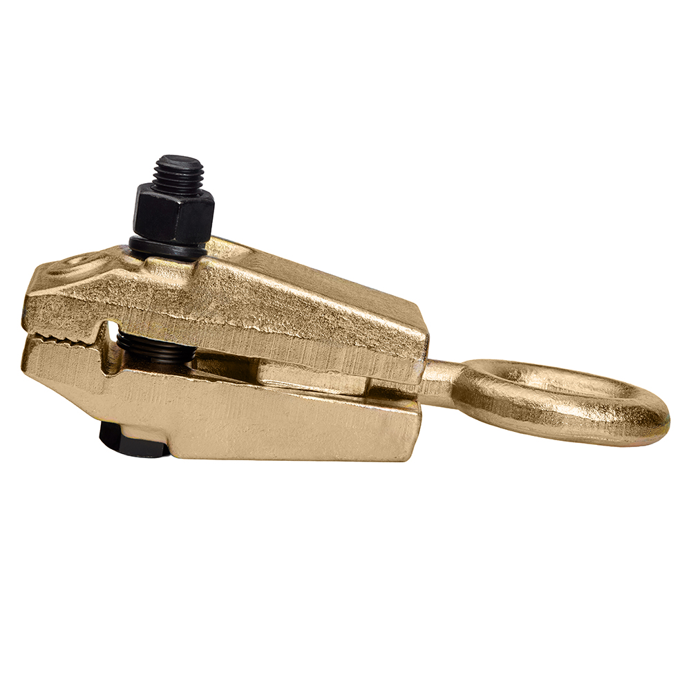 Alloid. ���������� ��� �������� ���� 5 �.