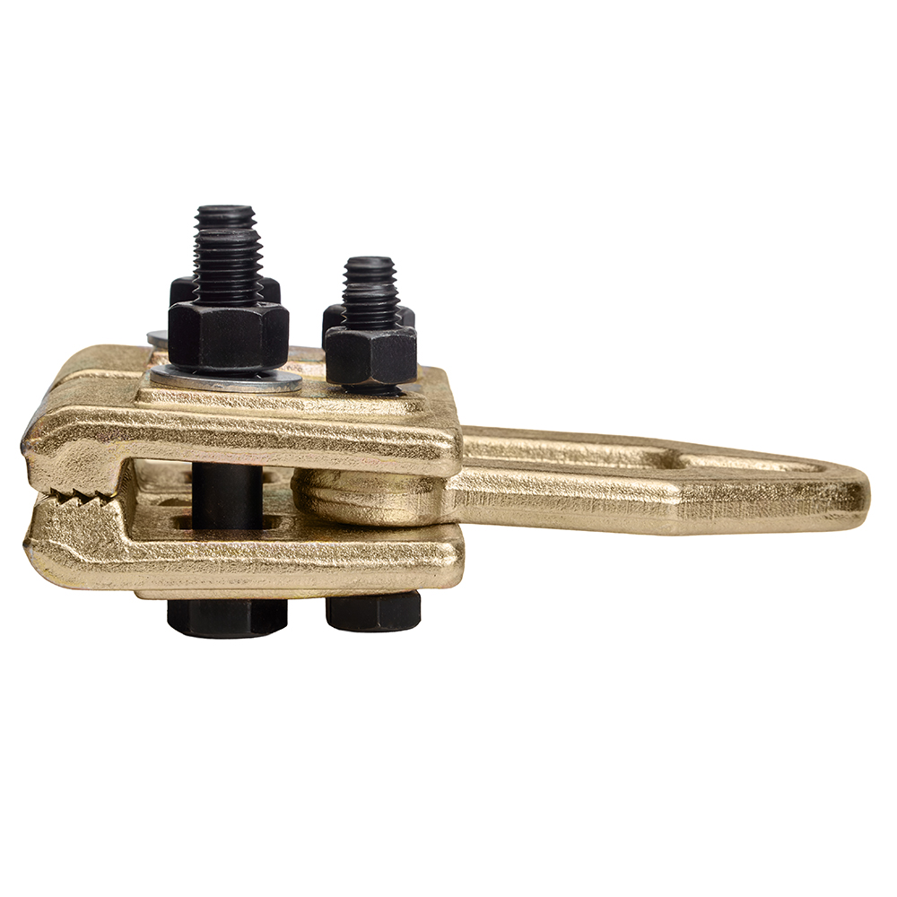 Alloid. ���������� ��� �������� ���� 5 �.