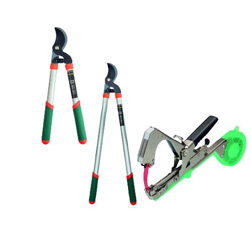 �������� ������� Alloid Pro