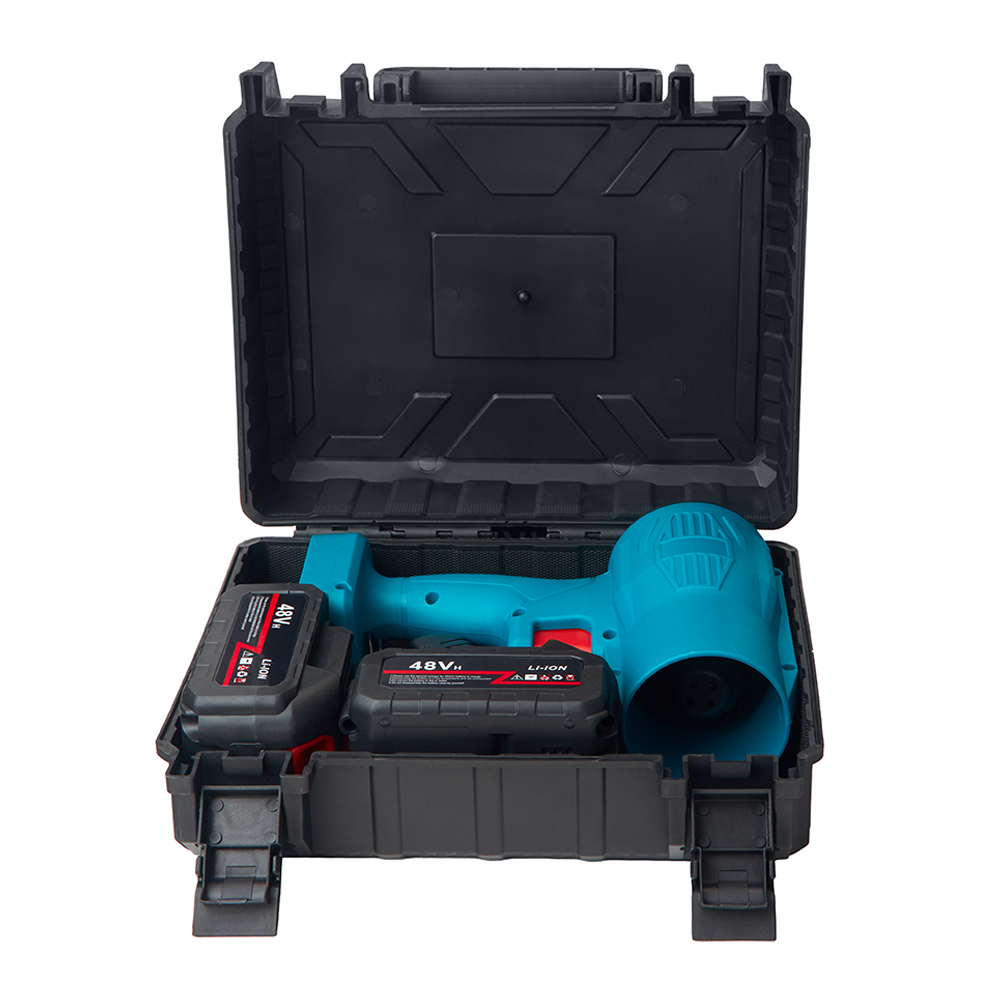 ��������������� ������������� � ���� 48V BLUE