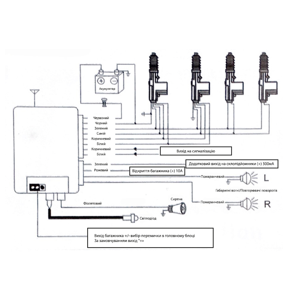 �������� �/� PULSO/DL-32112/������/� �������-������