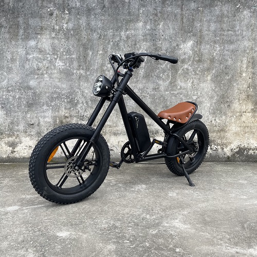���������������� CB-01a, 1000W, 48V20Ah, ������ 20�5", 200��, �� 50��, 50��/� (�� ����ު ����������)