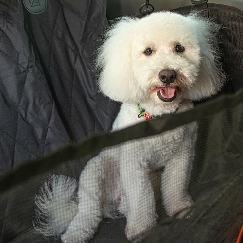 ����� �� ����������� ������ ��� ����� ���.GD-13