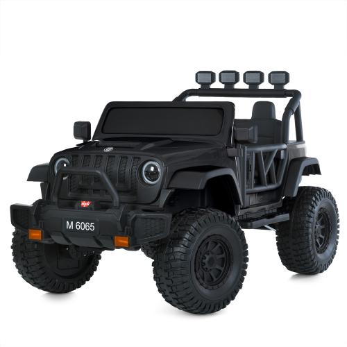  M 6065EBLR-2 (1) 2.4G /, 124V7AH, 2200W, BLUETOOTH, EVA, , , , 