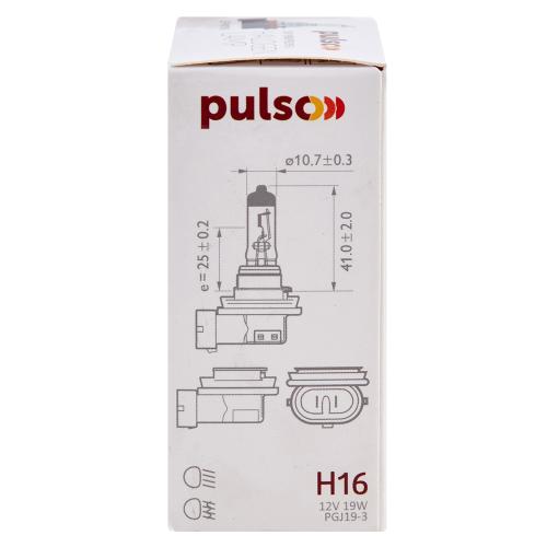  PULSO/ H16/PGJ19-3 12v19w clear/c/box
